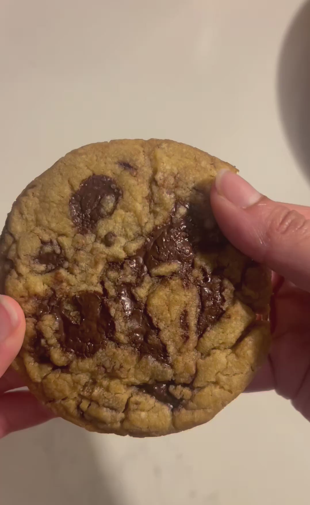 Single Chocolate chunk cookie