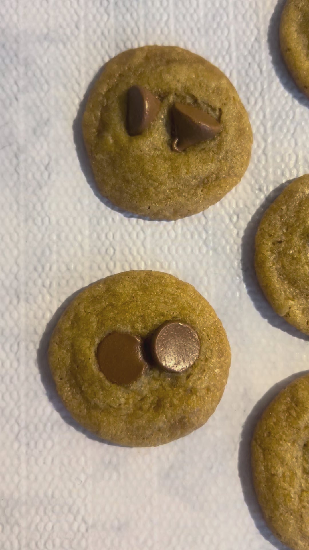 Mini chocolate chip cookies (30)